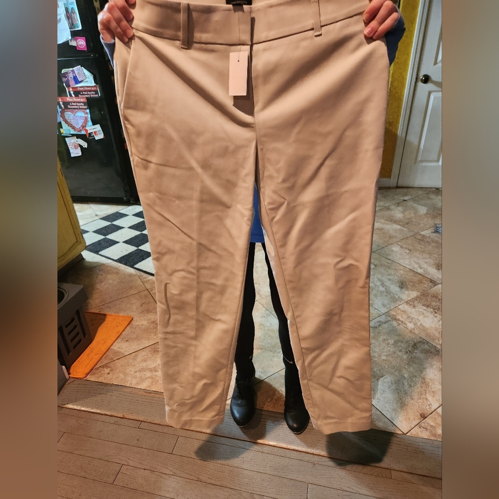 Ann Taylor pants